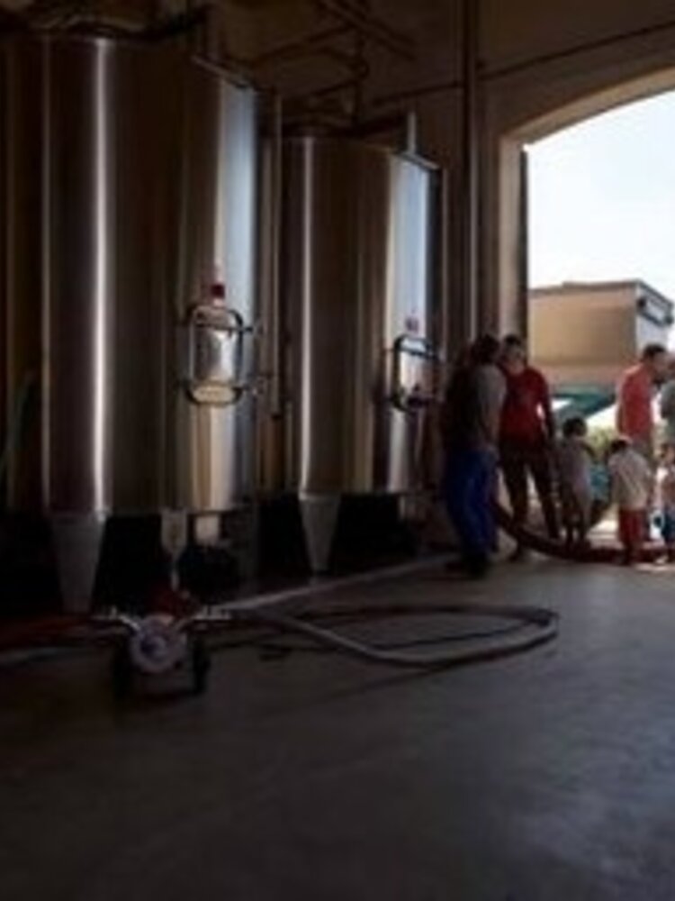 Château Grand-Launay Château 'Lion Noir' BIO 2023