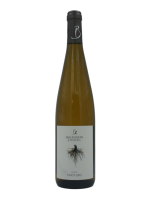 Baumann-Zirgel Pinot Gris BIO 2023