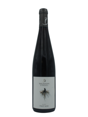 Baumann-Zirgel Pinot Noir 'Racine' BIO 2024