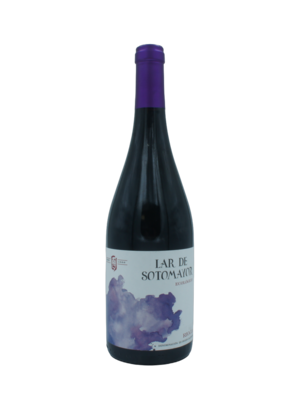 Domeco de Jarauta 'Lar de Sotomayor' Rioja Tinto BIO 2022