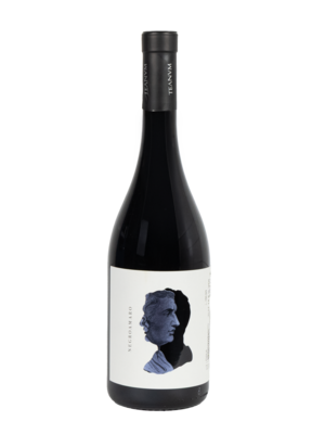 Cantine Teanum Cantine Teanum 'Otre' Negroamaro 2022