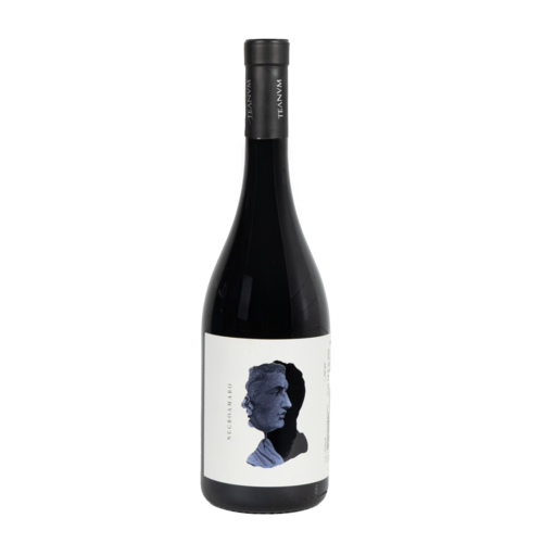 Cantine Teanum Cantine Teanum 'Otre' Negroamaro 2022