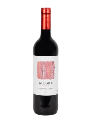 Bodegas Castillejo de Robledo Alegra Ribera del Duero Roble 2024