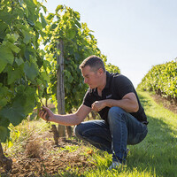 Heel veel wijn voor verrassend weinig geld
