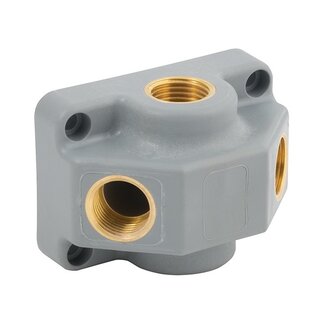 Girair MUURPLAAT | 1/2'' boven/onder 2x1/2'' voor