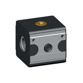 KNOCKS TERUGSLAG VENTIEL | BV2