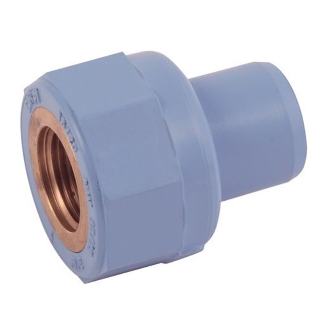 SCHROEFBUSSEN IN-/UITWENDIG LIJM / BSP-FEMALE