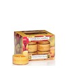 Yankee Candle Mango Peach Salsa Theelichten