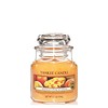 Yankee Candle Mango Peach Salsa Small Jar