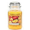 Yankee Candle Mango Peach Salsa Large Jar