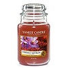 Yankee Candle Vibrant Saffron Large Jar