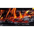 Crackling Wood Fire