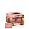 Yankee Candle Sun Drenched Apricot Rose Theelichten