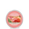 Yankee Candle Sun Drenched Apricot Rose Melt Cup