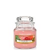 Yankee Candle Sun Drenched Apricot Rose Small Jar