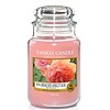 Yankee Candle Sun Drenched Apricot Rose Large Jar