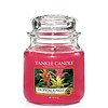 Yankee Candle Tropical Jungle Medium Jar
