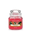 Yankee Candle Tropical Jungle Small Jar