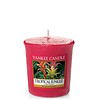 Yankee Candle Tropical Jungle Votive