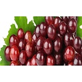Grape Cassis