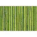Green Bamboo
