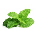Soothing Peppermint