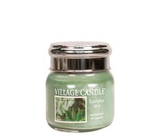 Village Candle Eucalyptus Mint Small Jar