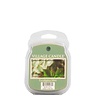 Village Candle Eucalyptus Mint Wax Melt
