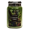 Village Candle Forbidden Forest Large Jar