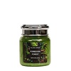 Village Candle Forbidden Forest Mini Jar