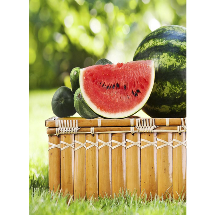 Village Candle Village Candle Summer Slices Votive