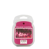 Village Candle Palm Beach Wax Melt