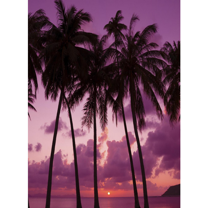 Village Candle Village Candle Palm Beach Votive