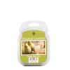 Village Candle Ginger Pear Fizz Wax Melt