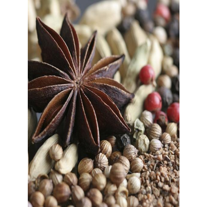 Village Candle Village Candle Spiced Noir Mini Jar