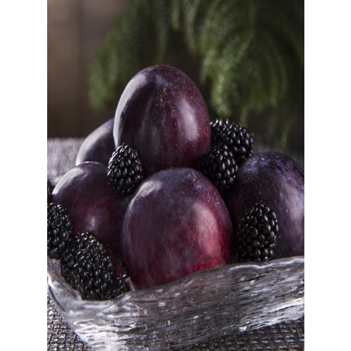 Village Candle Village Candle Patchouli Plum Small Jar