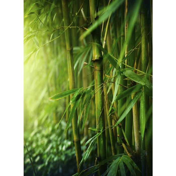 Village Candle Village Candle Black Bamboo Medium Jar