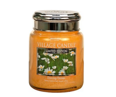 Village Candle Dancing Daisies Medium Jar