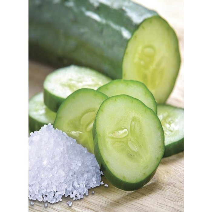 Village Candle Village Candle Sea Salt Cucumber Medium Jar