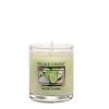 Village Candle Sea Salt Cucumber Votive