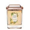 Yankee Candle Tonka Bean & Pumpkin Elevation Medium Geurkaars