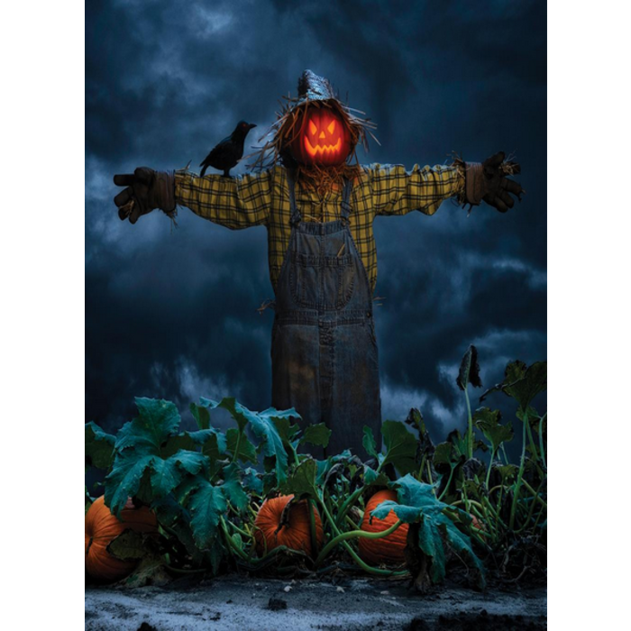 Village Candle Village Candle Pumpkin Scarecrow Large Jar