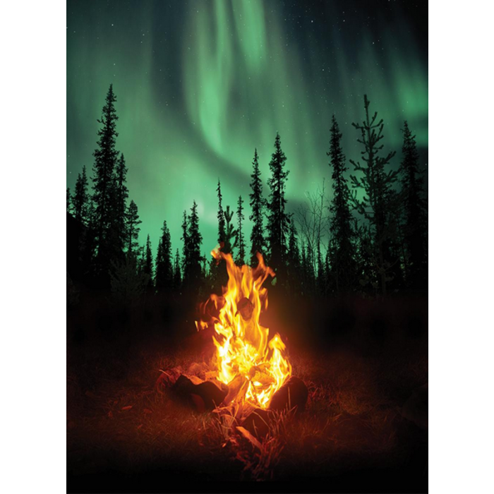 Village Candle Village Candle Fireside Fir Mini Jar