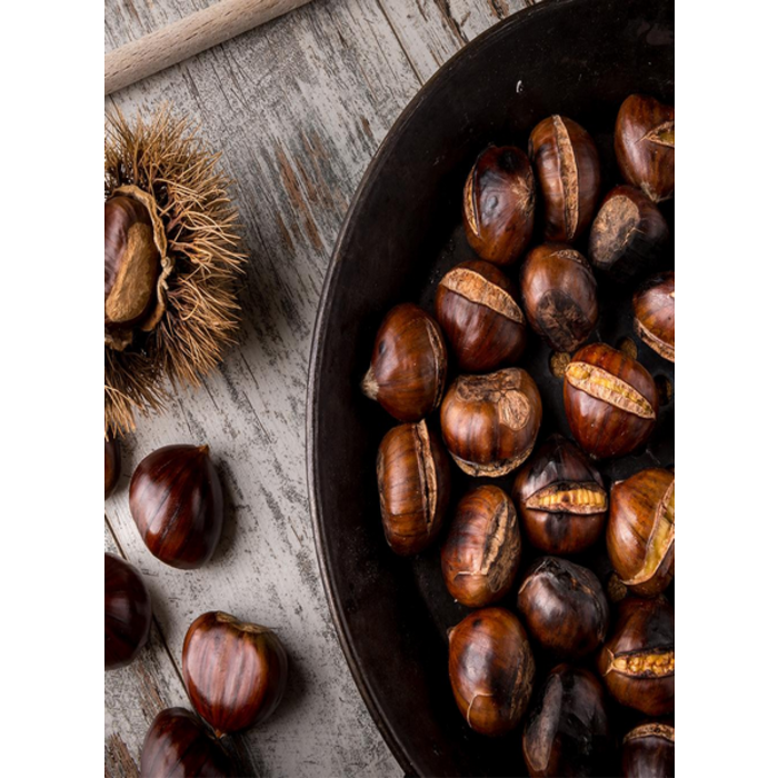 Village Candle Village Candle Chestnut Spice Small Jar