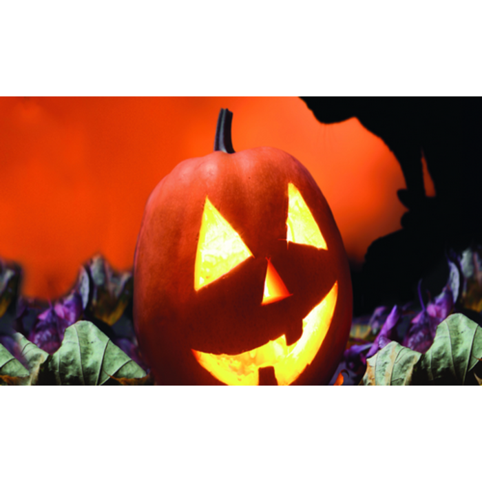 Yankee Candle Yankee Candle Trick or Treat Large Jar