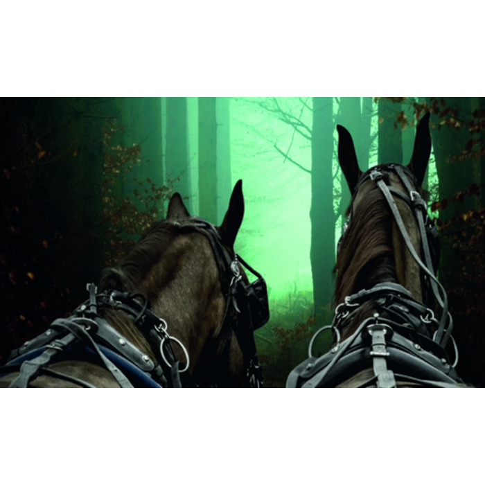 Yankee Candle Yankee Candle Haunted Hayride Theelichten