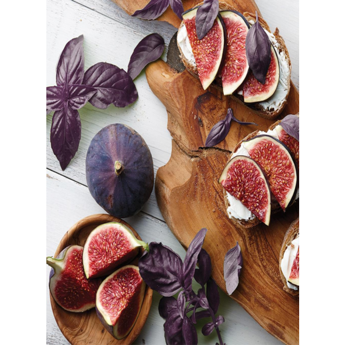 Village Candle Village Candle Purple Basil & Fig Mini Jar