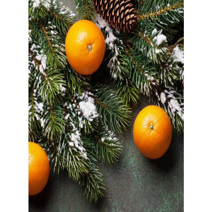 Village Candle Village Candle Winter Clementine Small Jar