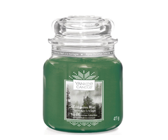 Yankee Candle Evergreen Mist Medium Jar
