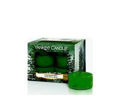 Yankee Candle Evergreen Mist Theelichten